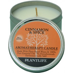 Plantlife Candle - Cinnamon &amp; Spice aromatherapy, candles, all natural, petroleum free, essential oils, natural candles, plant based wax, cinnamon, spice,